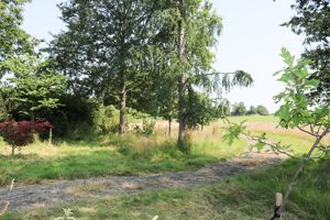 Photo 16- click for photo gallery